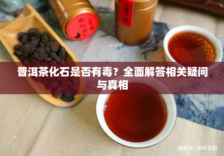 普洱茶化石是否有?全面解答相关疑问与真相