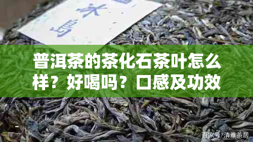 普洱茶的茶化石茶叶怎么样?好喝吗?口感及功效详解