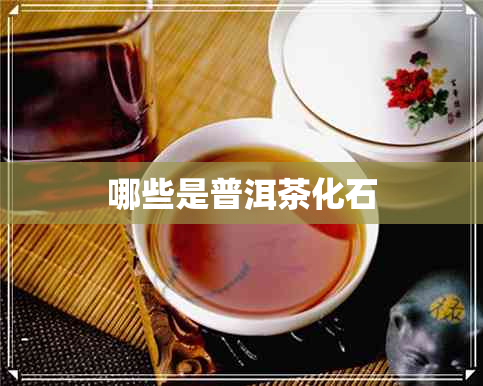 哪些是普洱茶化石 哪些是普洱茶化石