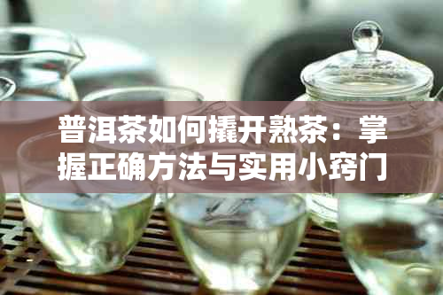 普洱茶如何撬开熟茶:掌握正确方法与实用小窍门