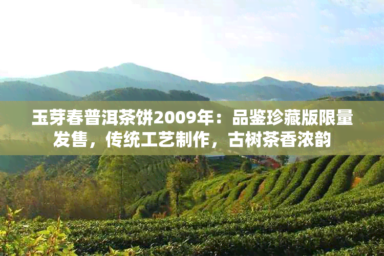 玉芽春普洱茶饼2009年：品鉴珍藏版限量发售，传统工艺制作，古树茶香浓韵