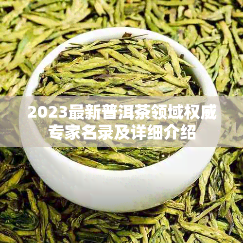 2023最新普洱茶领域权威专家名录及详细介绍