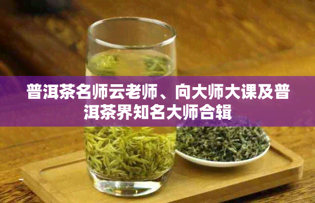 普洱茶名师云老师、向大师大课及普洱茶界知名大师合辑