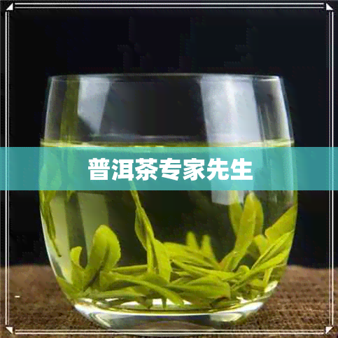 普洱茶专家先生 普洱茶专家先生