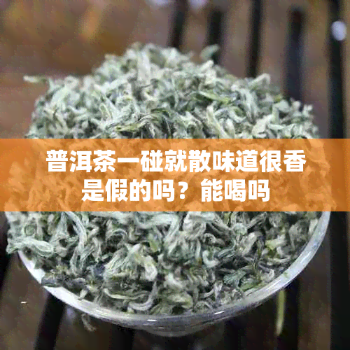 普洱茶一碰就散味道很香是假的吗?能喝吗