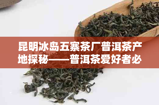 昆明冰岛五寨茶厂普洱茶产地探秘——普洱茶爱好者必访之地