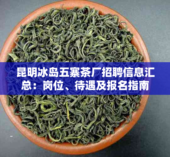 昆明冰岛五寨茶厂招聘信息汇总:岗位、待遇及报名指南