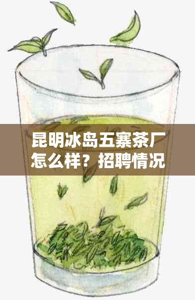 昆明冰岛五寨茶厂怎么样?招聘情况如何?