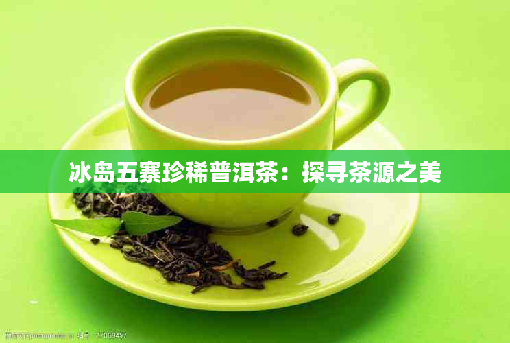 冰岛五寨珍稀普洱茶:探寻茶源之美