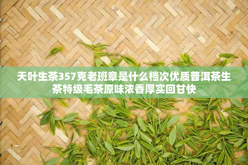 天叶生茶357克老班章是什么档次优质普洱茶生茶特级毛茶原味浓香厚实回甘快