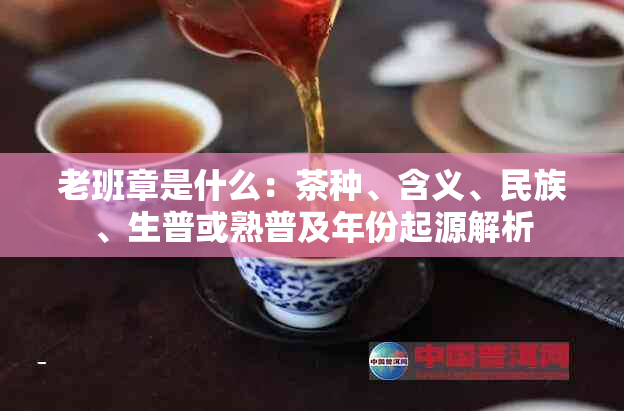 老班章是什么:茶种、含义、民族、生普或熟普及年份起源解析
