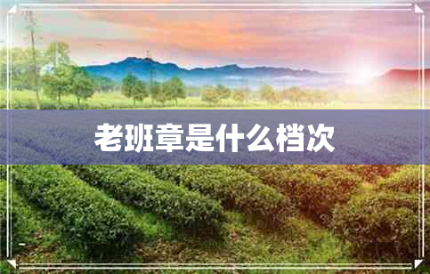 老班章是什么档次 老班章是什么档次