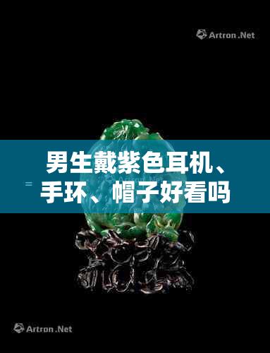 男生戴紫色耳机、手环、帽子好看吗?适合男生的紫色行李箱