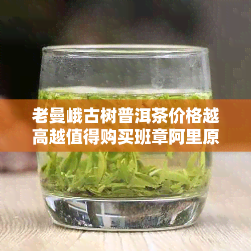 老曼峨古树普洱茶价格越高越值得购买班章阿里原产地直供