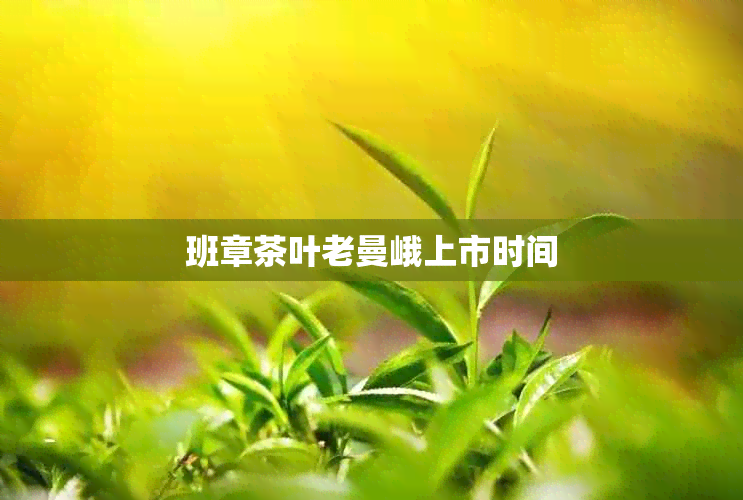 班章茶叶老曼峨上市时间