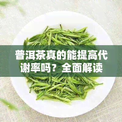 普洱茶真的能提高代谢率吗?全面解读普洱茶的减肥与健康功效