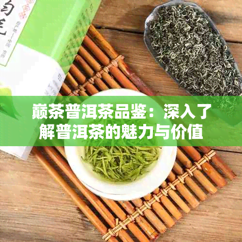 巅茶普洱茶品鉴:深入了解普洱茶的魅力与价值