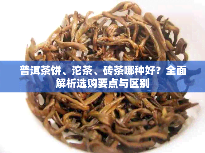 普洱茶饼、沱茶、砖茶哪种好?全面解析选购要点与区别