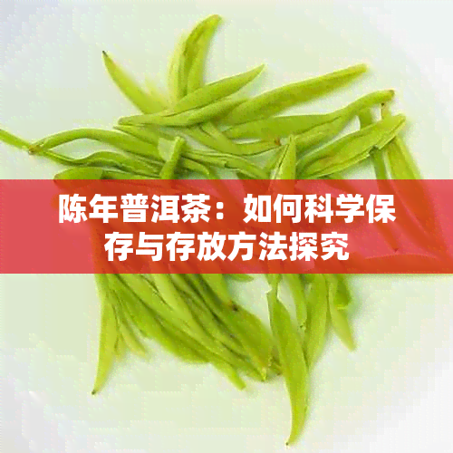 陈年普洱茶:如何科学保存与存放方法探究