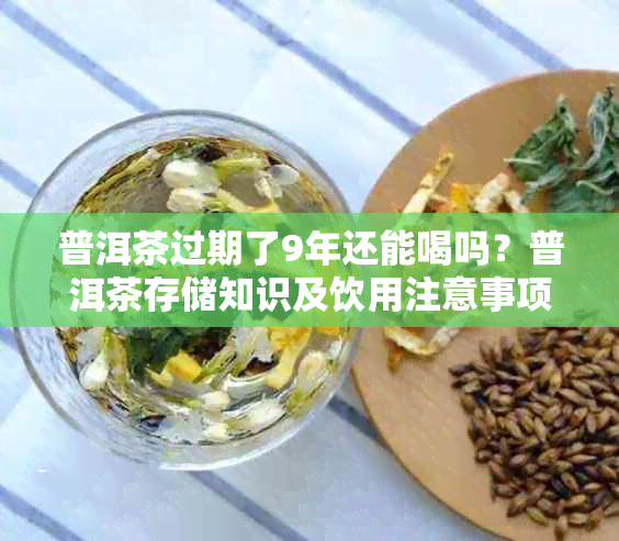 普洱茶过期了9年还能喝吗?普洱茶存储知识及饮用注意事项全解析