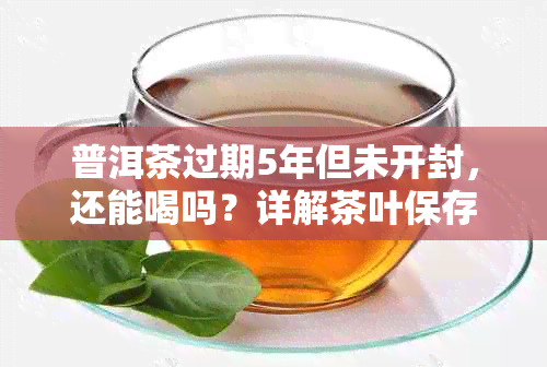 普洱茶过期5年但未开封,还能喝吗?详解茶叶保存与饮用指南