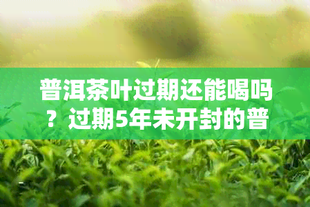 普洱茶叶过期还能喝吗?过期5年未开封的普洱茶叶分析