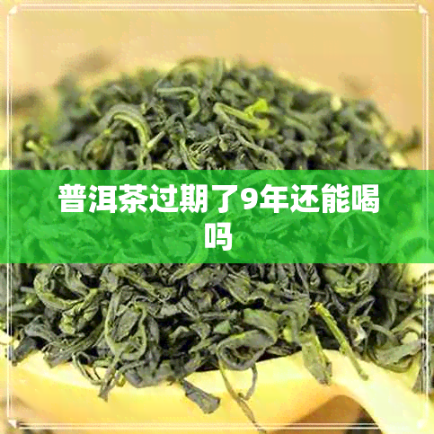 普洱茶过期了9年还能喝吗 普洱茶过期了9年还能喝吗