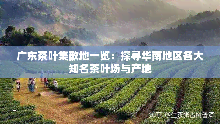 广东茶叶集散地一览:探寻华南地区各大知名茶叶场与产地