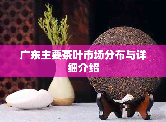 广东主要茶叶市场分布与详细介绍