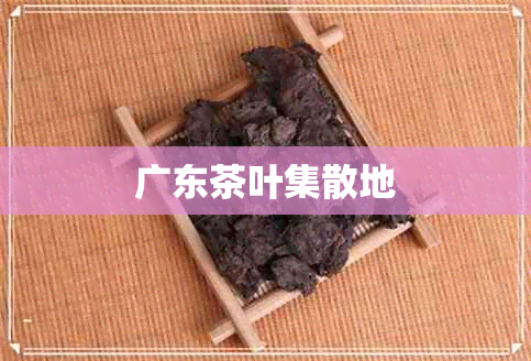 广东茶叶集散地 广东茶叶集散地