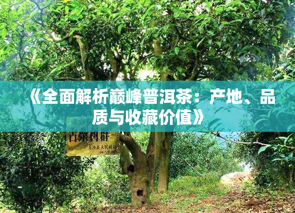 《全面解析巅峰普洱茶:产地、品质与收藏价值》