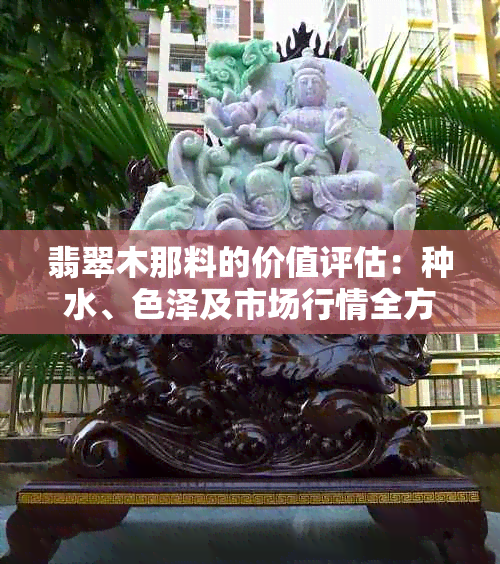 翡翠木那料的价值评估:种水、色泽及市场行情全方位解读