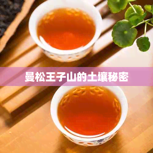 曼松王子山的土壤秘密