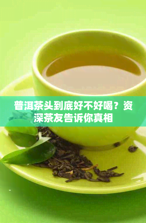 普洱茶头到底好不好喝?资深茶友告诉你真相