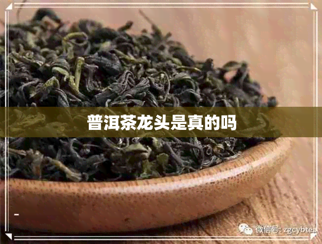 普洱茶龙头是真的吗 普洱茶龙头是真的吗