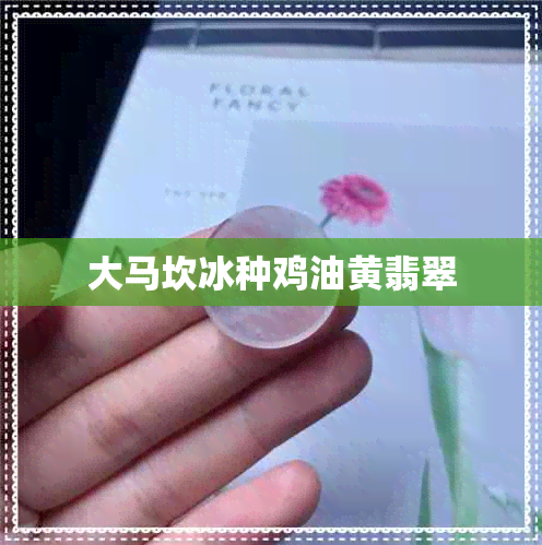 大马坎冰种鸡油黄翡翠 大马坎冰种鸡油黄翡翠