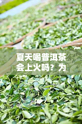 夏天喝普洱茶会上火吗?为什么会这样?如何缓解?