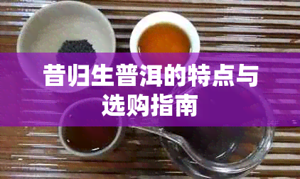 昔归生普洱的特点与选购指南