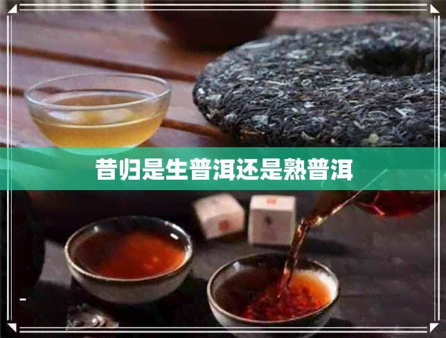 昔归是生普洱还是熟普洱 昔归是生普洱还是熟普洱