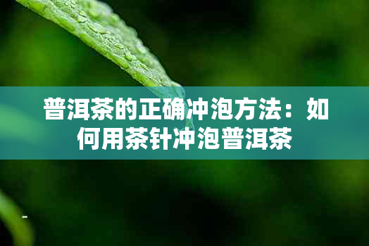 普洱茶的正确冲泡方法:如何用茶针冲泡普洱茶