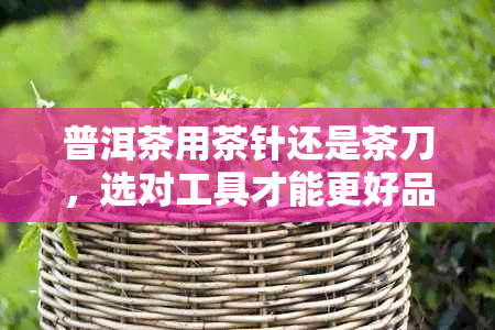 普洱茶用茶针还是茶刀,选对工具才能更好品味普洱茶