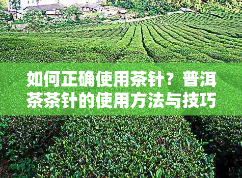 如何正确使用茶针?普洱茶茶针的使用方法与技巧全解析