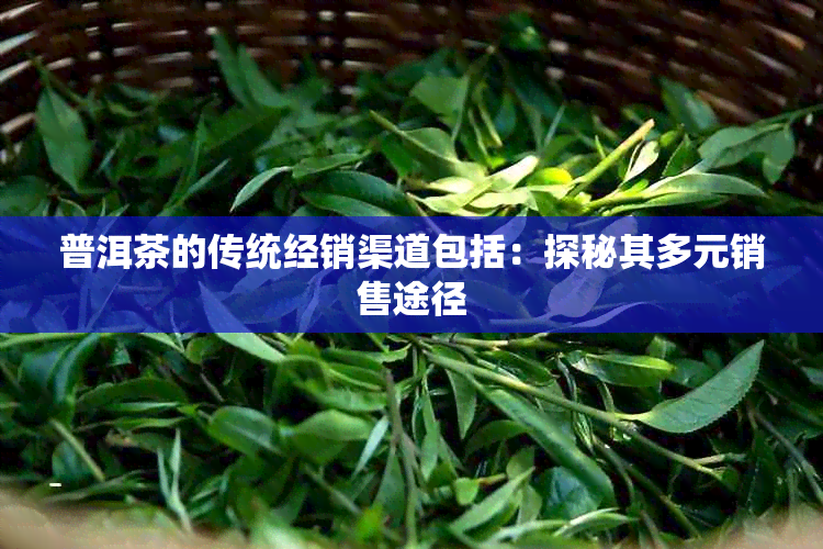 普洱茶的传统经销渠道包括:探秘其多元销售途径