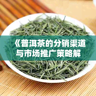 《普洱茶的分销渠道与市场推广策略解析》