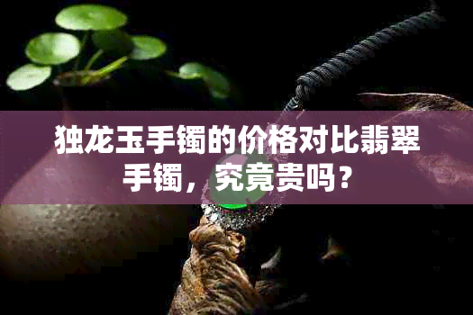 独龙玉手镯的价格对比翡翠手镯,究竟贵吗?