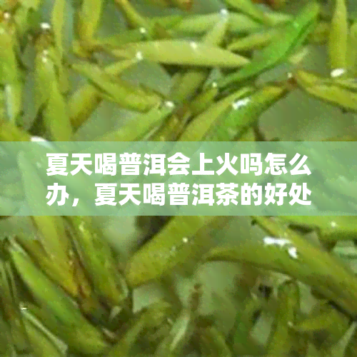 夏天喝普洱会上火吗怎么办,夏天喝普洱茶的好处