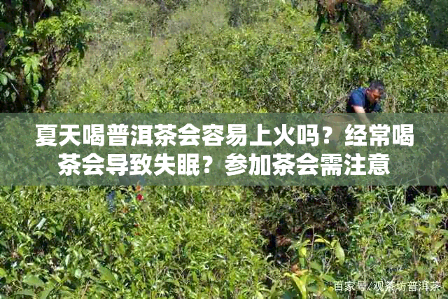 夏天喝普洱茶会容易上火吗?经常喝茶会导致失眠?参加茶会需注意