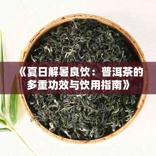 《夏日解暑良饮:普洱茶的多重功效与饮用指南》