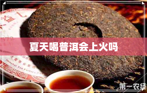 夏天喝普洱会上火吗 夏天喝普洱会上火吗