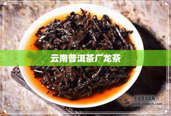 云南普洱茶厂龙茶 云南普洱茶厂龙茶